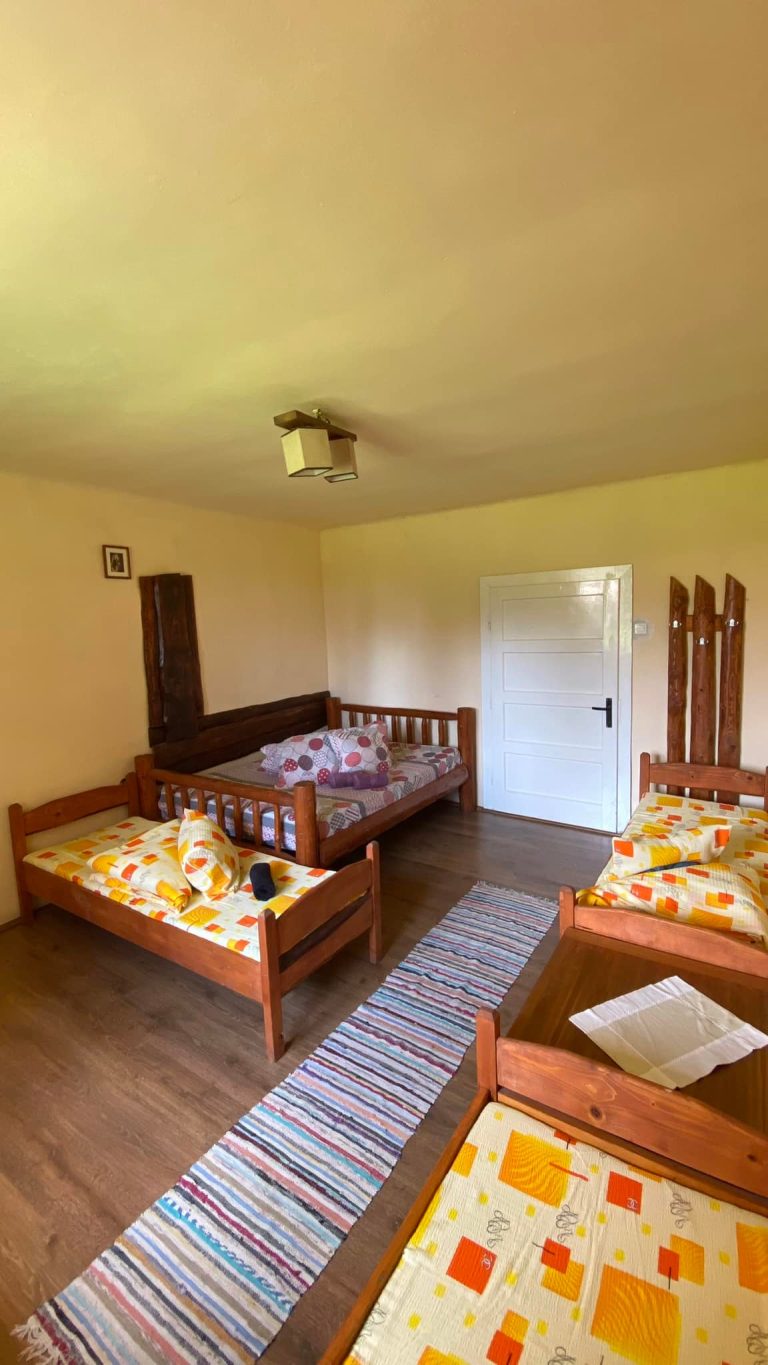 481902481 1143263507594755 298736603891468482 n 1 768x1365