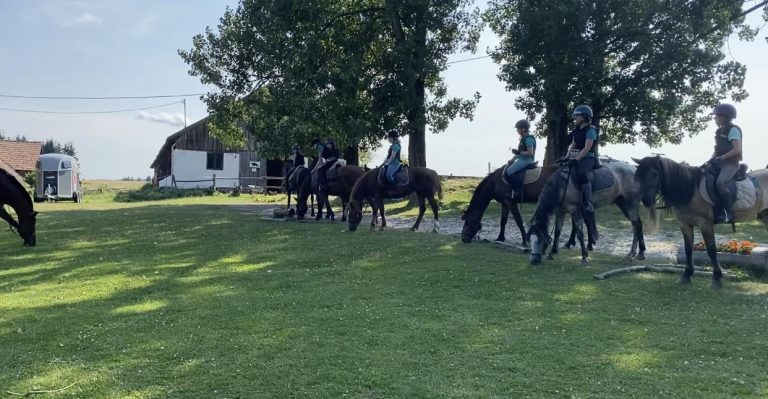 486324224 1155082623079510 8906349027985531054 n 768x399