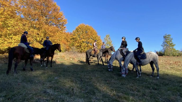 487204775 1159301629324276 290407290288439715 n 768x432