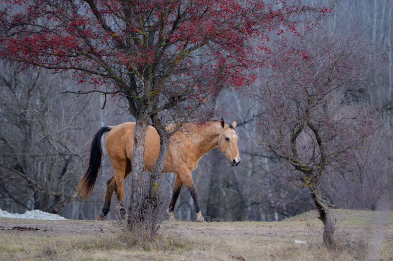 55549622 2100026856718215 2134686801531502592 n 768x510