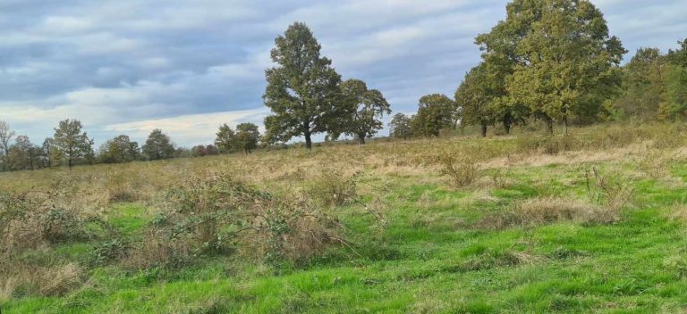 Messenger creation 35EAD55C F55E 456D 8F66 CDE4E5B526BA 768x352