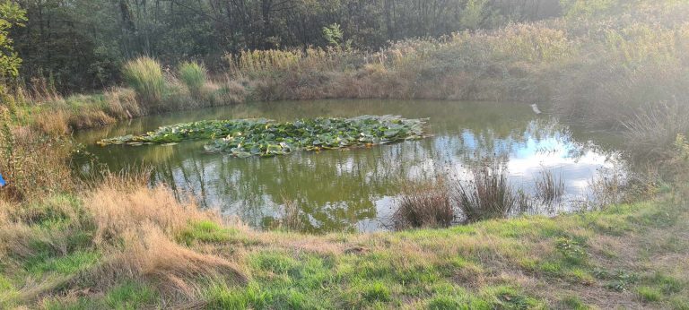 Messenger creation 3C951C65 7DBD 4559 8584 78A6A52757C5 768x346