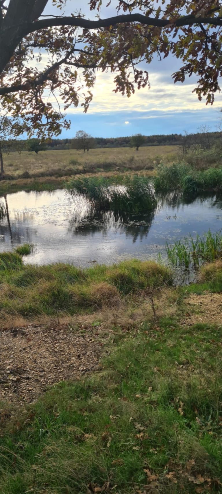 Messenger creation 82590516 01E5 493F 9110 5661DDD61C89 768x1706