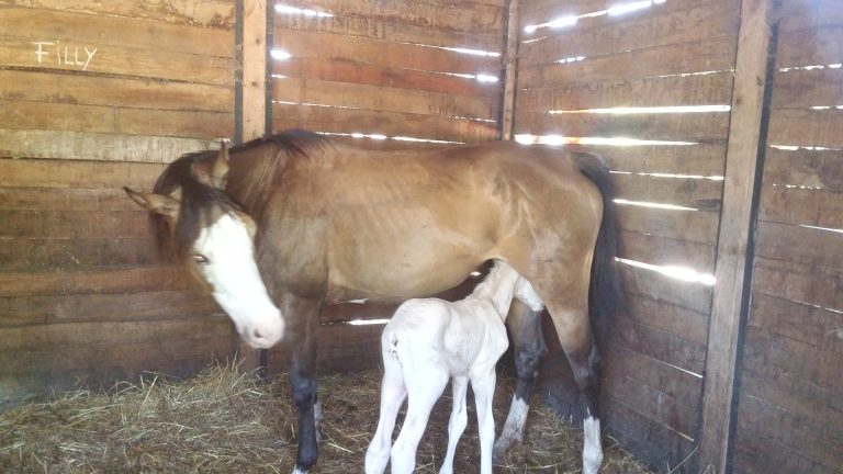 20160630 091329 768x432