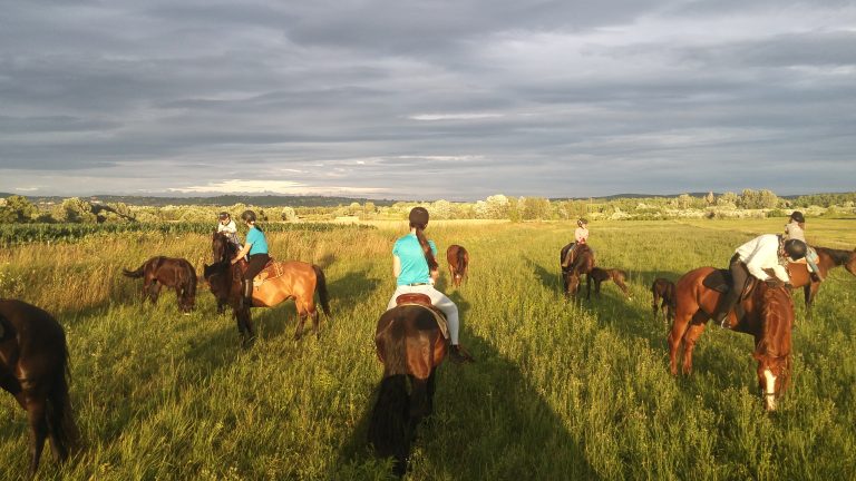 20160703 195348 768x432