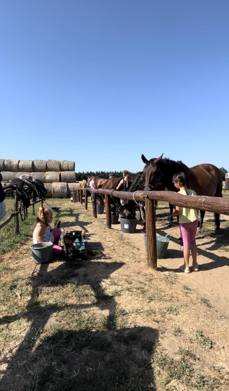 494355529 1399774891034392 4159788700336419995 n 768x1309