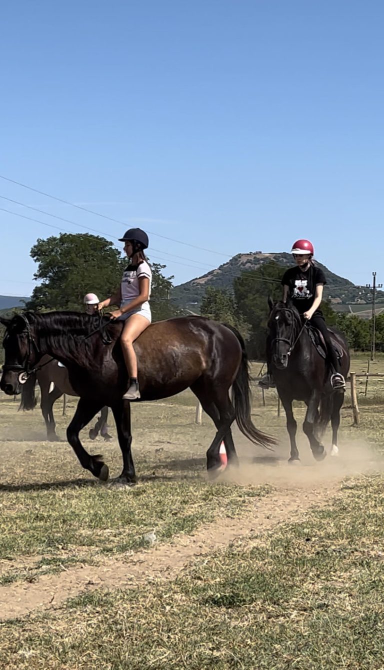 494356954 677092931952941 6006465701501454829 n 768x1339