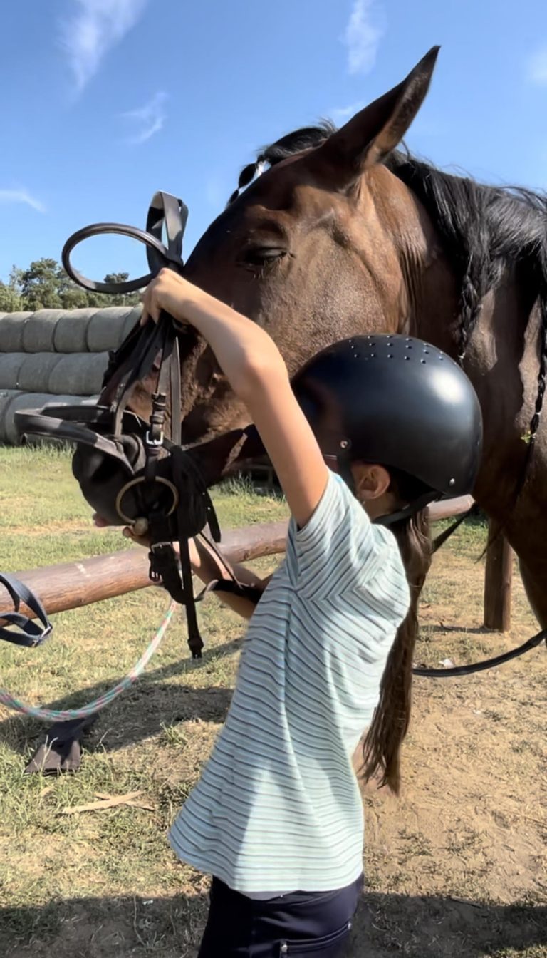 494357305 1402333557653747 5437104587745654336 n 3 768x1344