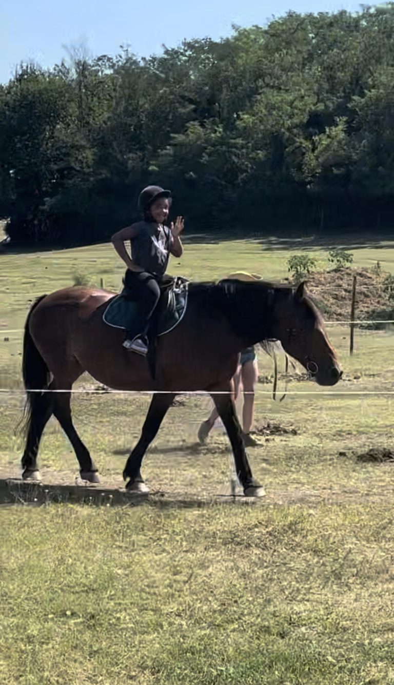 494357405 701161899117629 6016001439706391743 n 768x1335