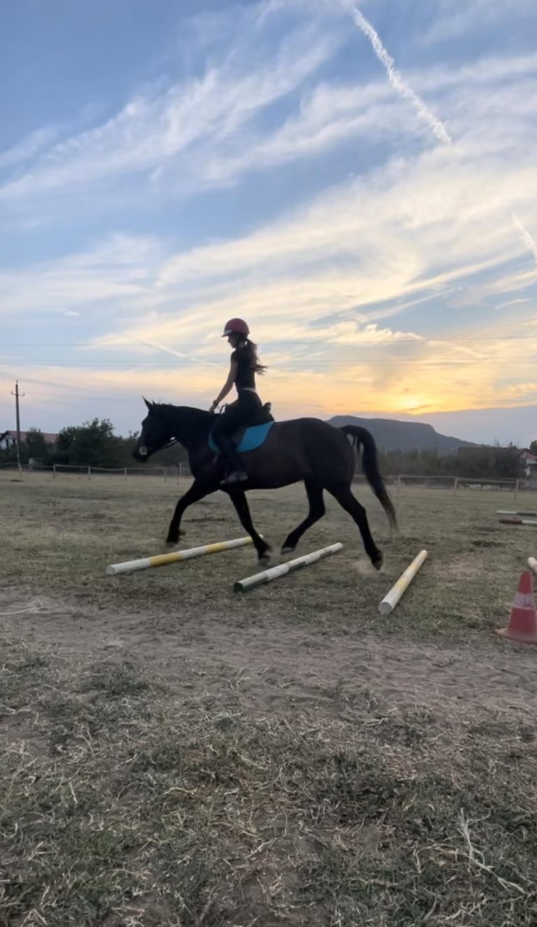 494357661 1404883004017969 1085761306749247574 n 3 768x1324