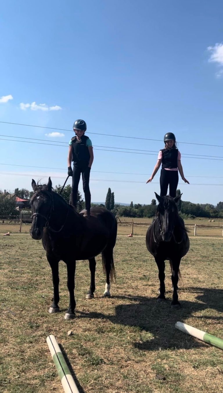 494357842 585670874544705 8432775694766714607 n 3 768x1353