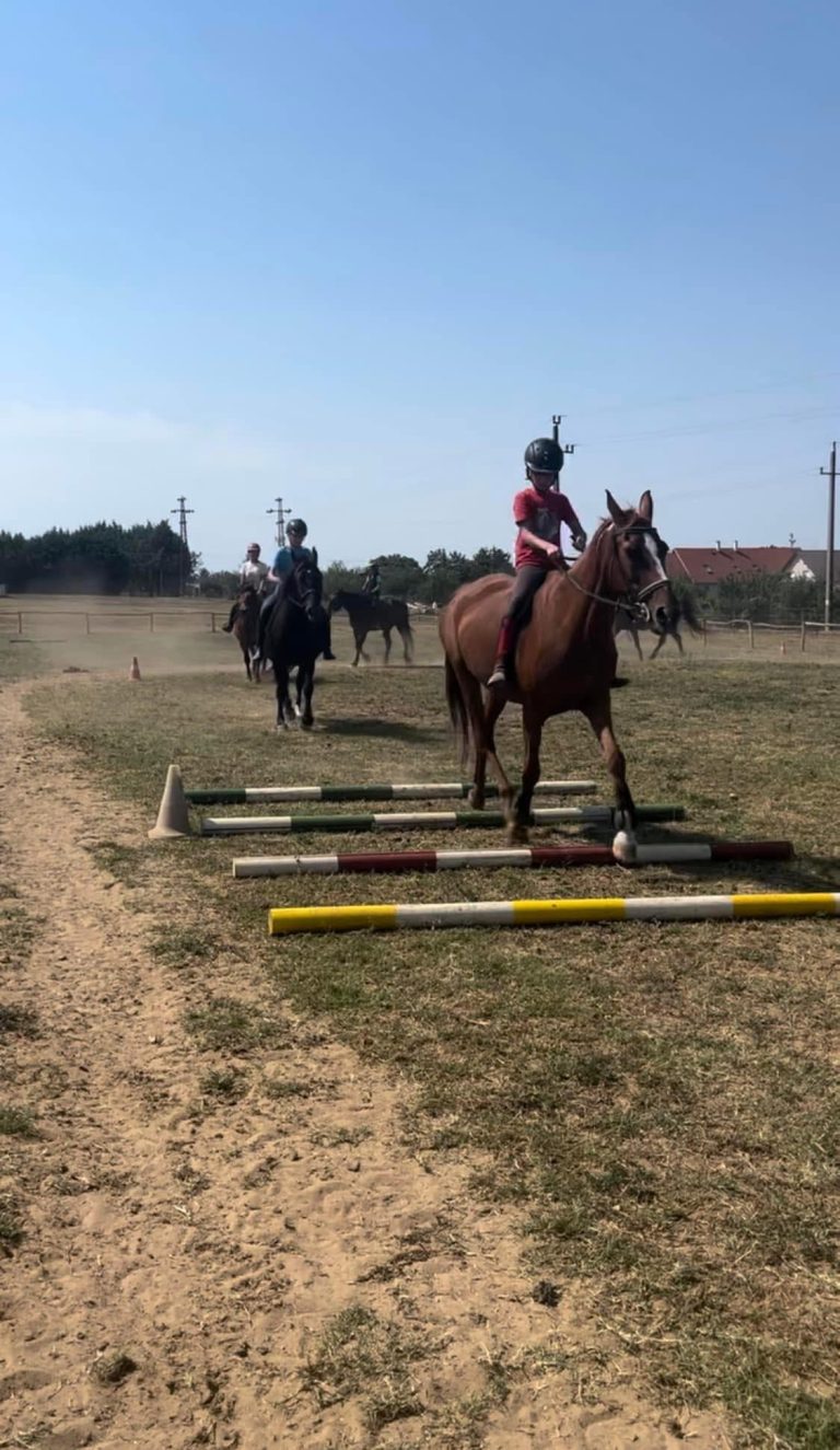 494358169 3886853138195116 5520631786860643649 n 1 768x1325