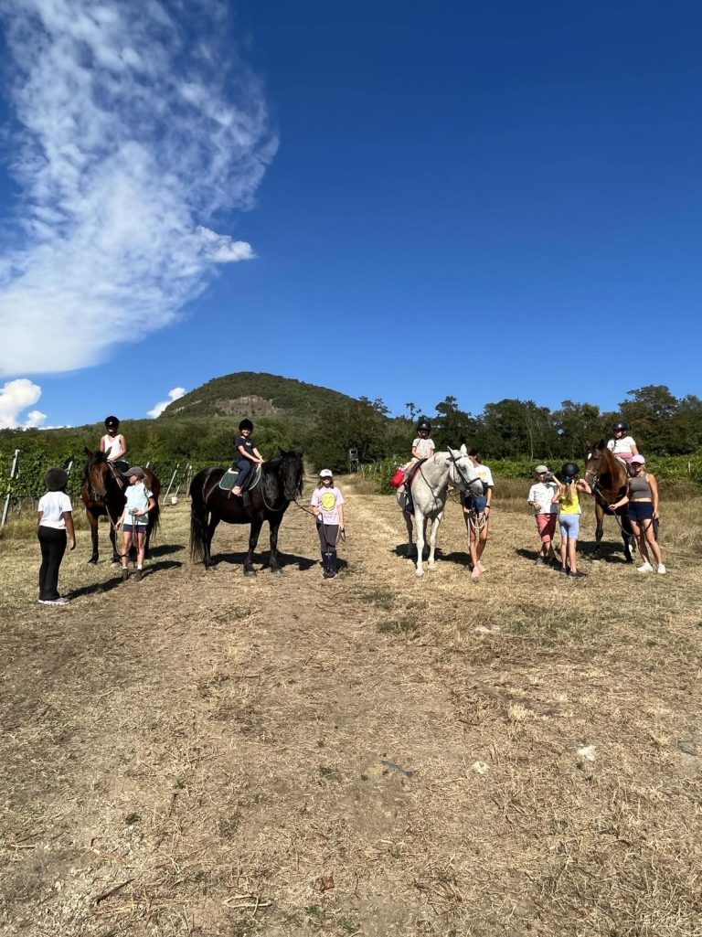 494819387 1045061657552990 1480505748541180529 n 3 768x1025