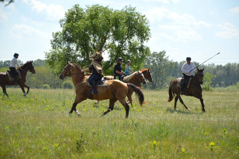 DSC 0837 11zon 768x511