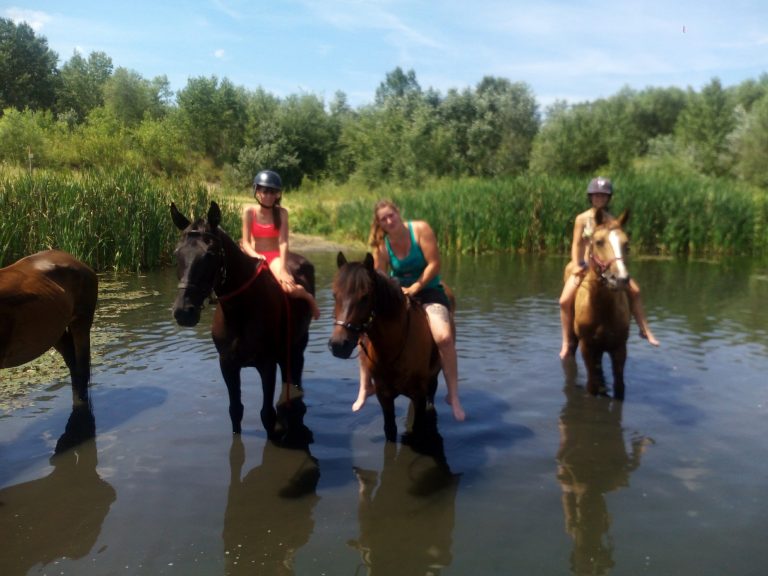 IMG 20170721 125438 768x576