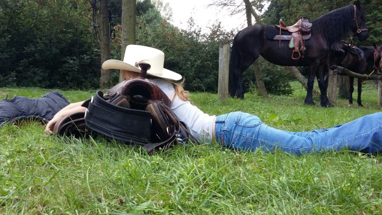 image 6628e13bb4ce341b562751f14086fd1107d531a89864f3b5817eeb3dc98f8dda V 768x432