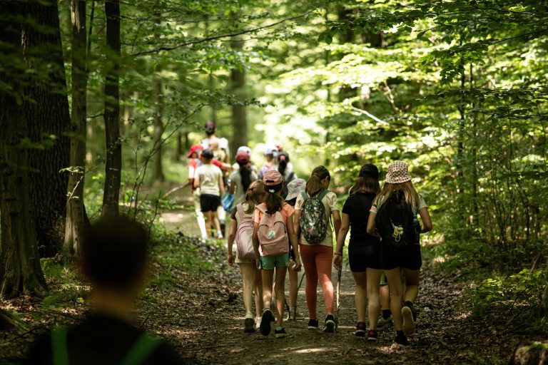 kirandulas erdoS 768x512