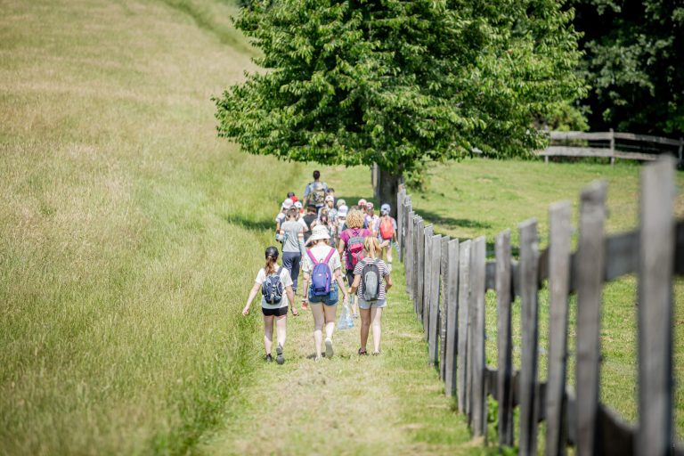 kirandulas legeloS 768x512