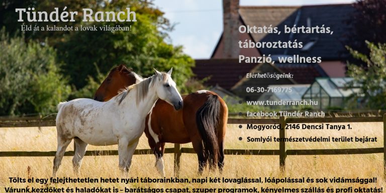 lovas molino 1x2m 768x384