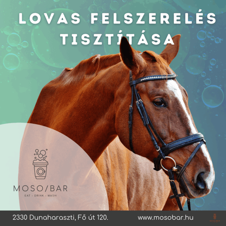 HGRE0 Qe GYAcFXDKC D0Zj75PsaYjNUxNd5GPkIHuU 768x768