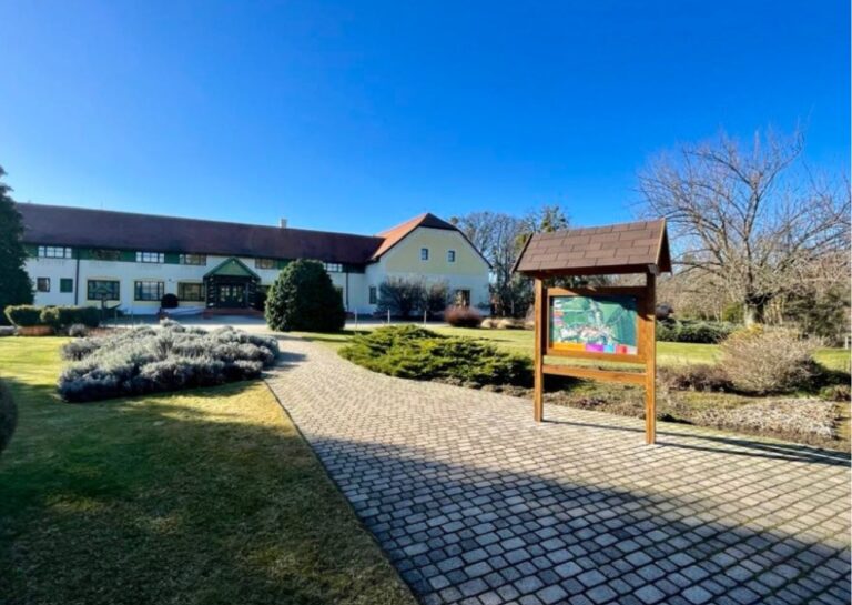 MKIK stock 3 768x545