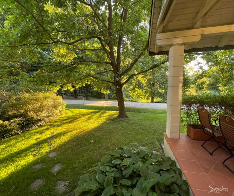 poszt terasz 768x644