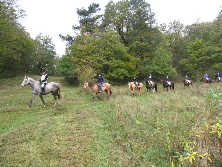 tereplovaglas 768x576