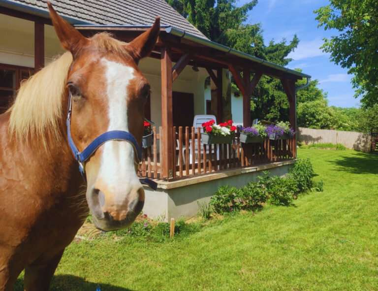 Minor Major Vendégház