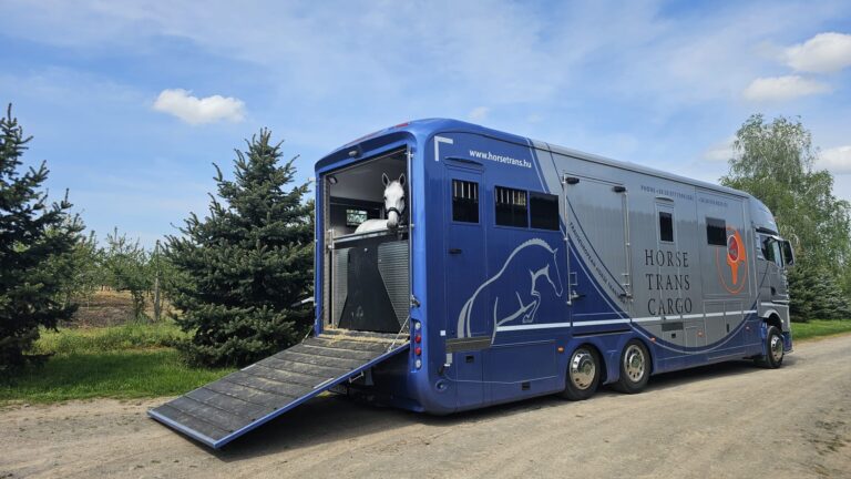 92f1ab2b 65bc 4479 8691 f3ec41b2f06f 768x432