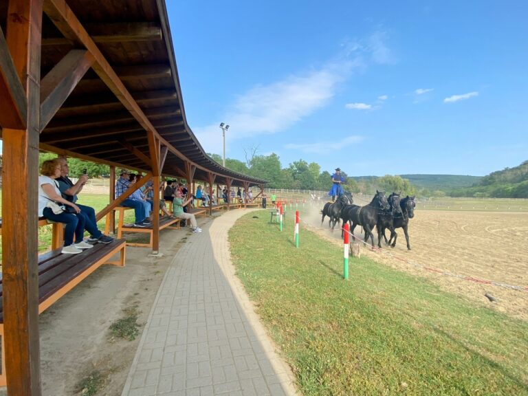 lovasbemutato 4 768x576