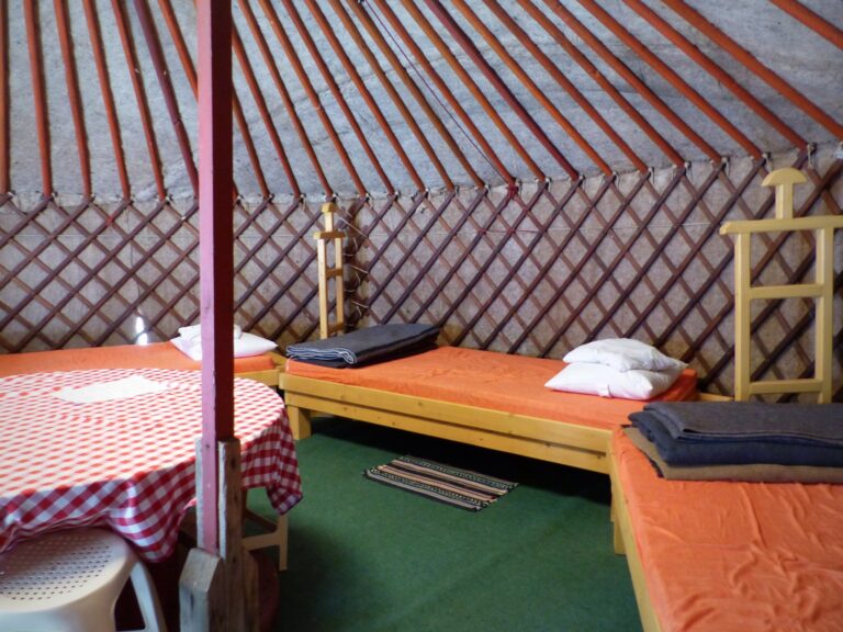 297155969 543576287563708 6622337785303891195 n 768x576