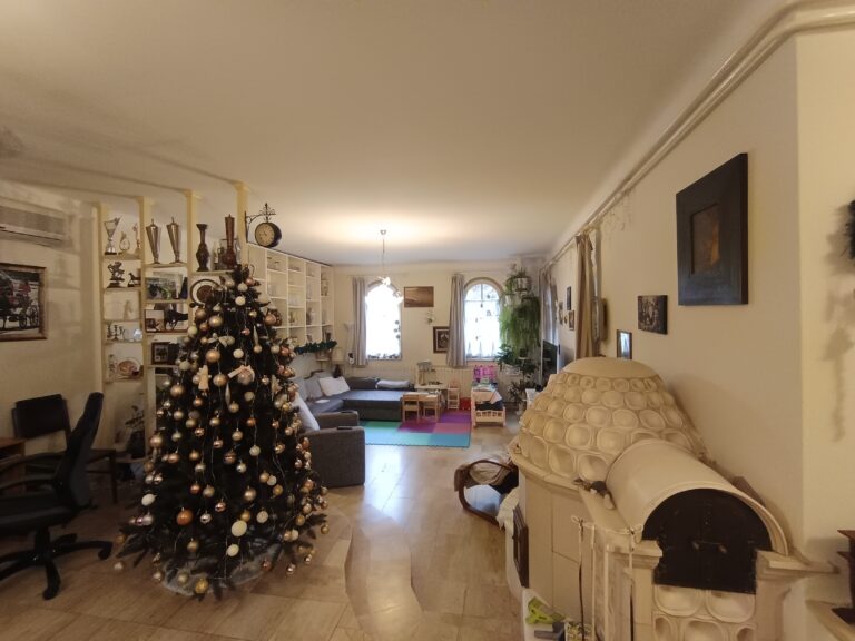 IMG 20250117 101532 768x576