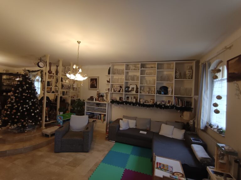 IMG 20250117 101624 768x576