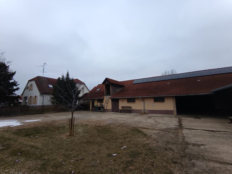 IMG 20250117 103356 768x576