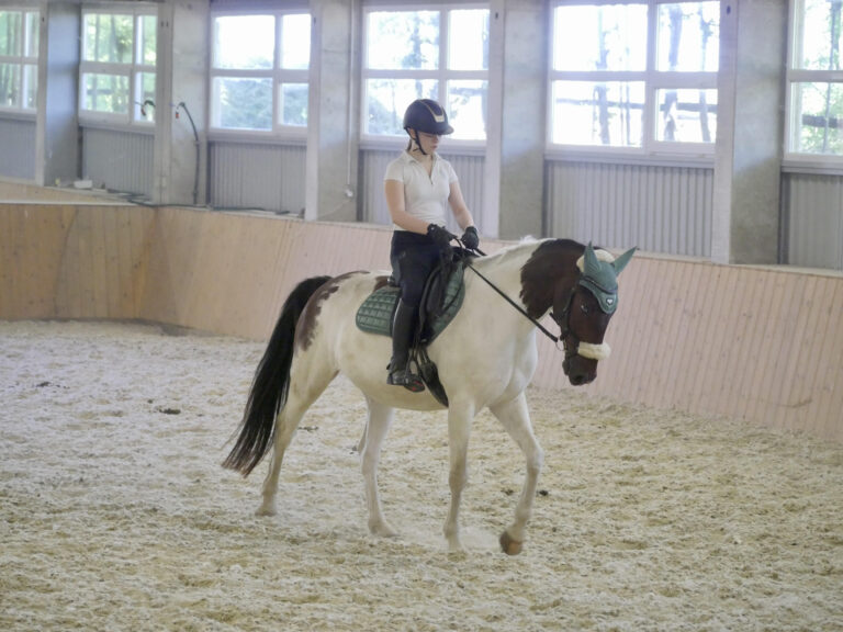 unnamed 12 1 768x576