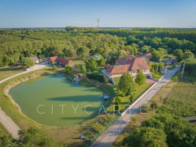 vizjeles 4915094 768x575