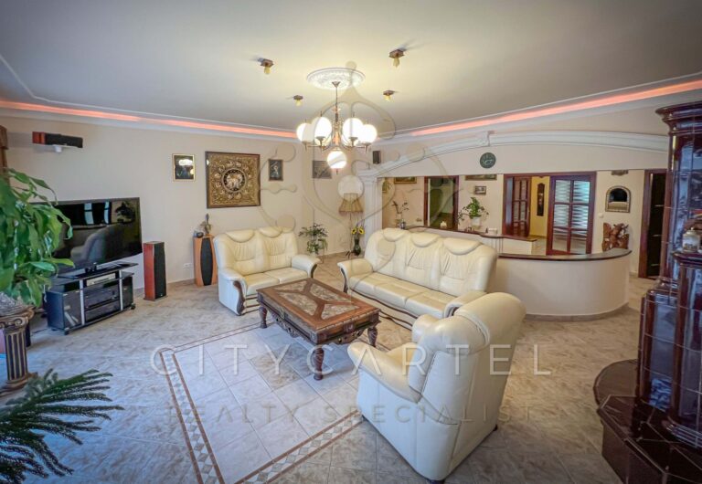 vizjeles 4915095 768x530