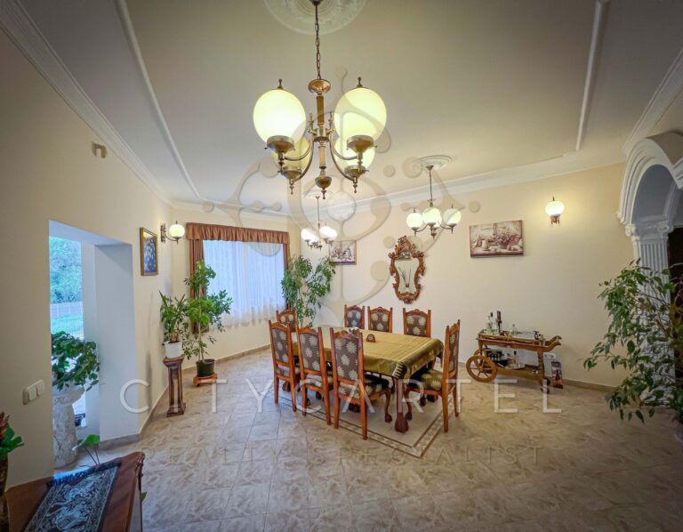 vizjeles 4915096 768x598