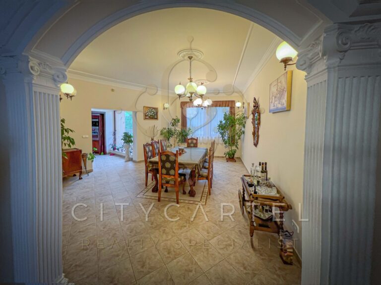 vizjeles 4915098 768x576