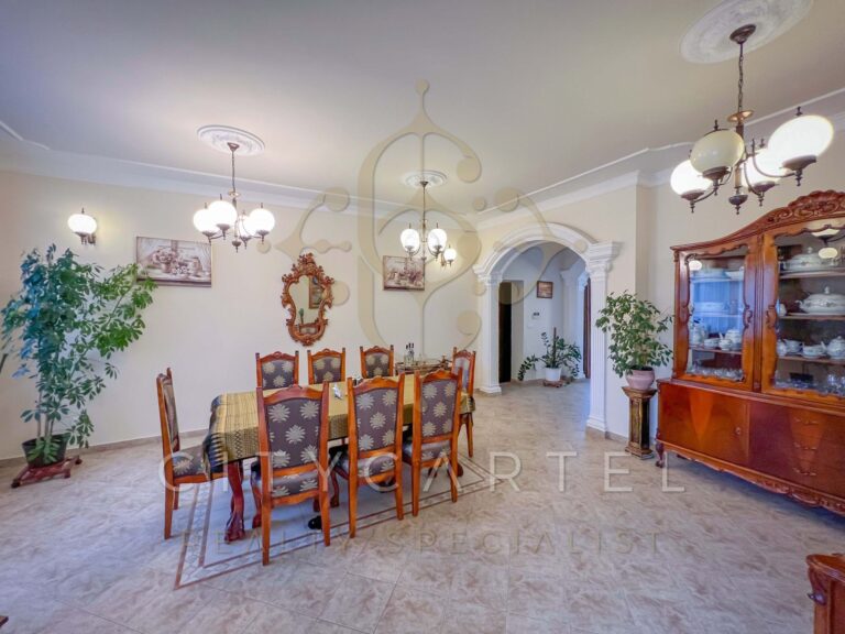 vizjeles 4915099 768x576