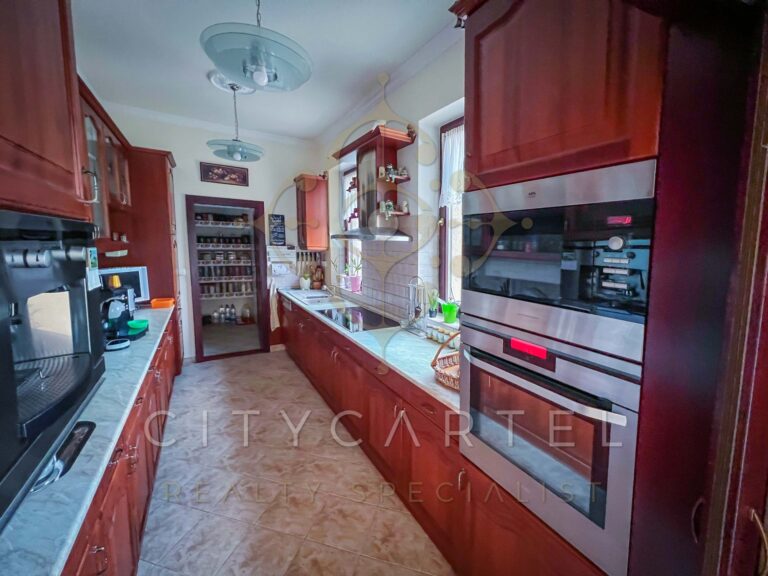 vizjeles 4915100 768x576