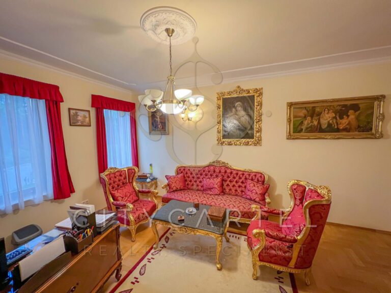 vizjeles 4915101 768x576