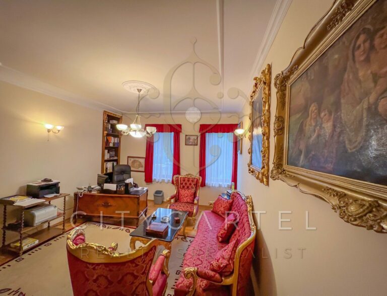 vizjeles 4915102 768x588