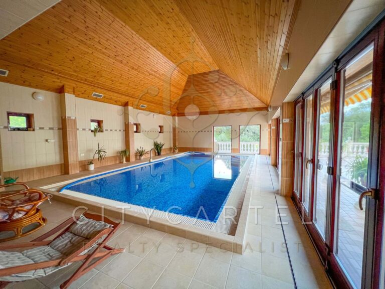 vizjeles 4915103 768x576