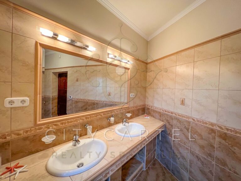 vizjeles 4915104 768x576