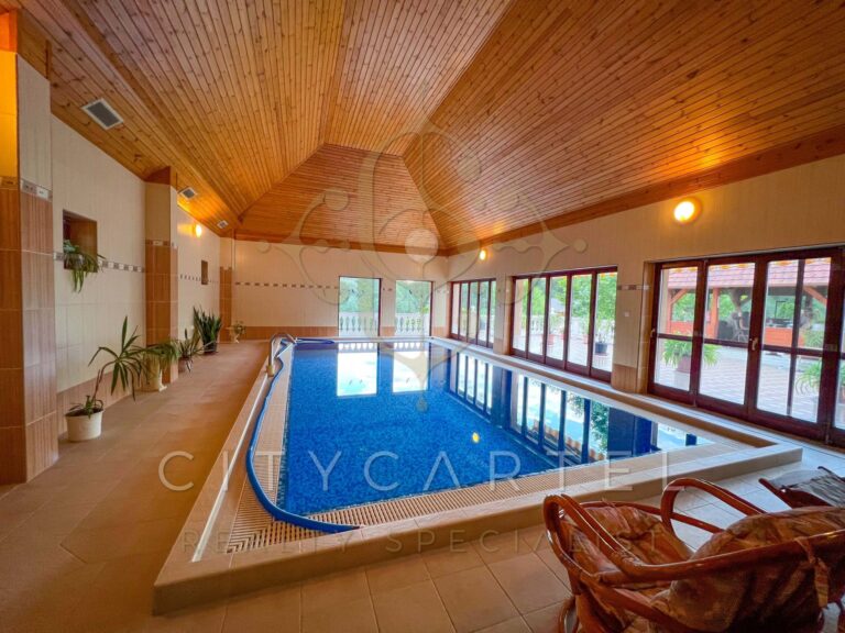 vizjeles 4915105 768x576