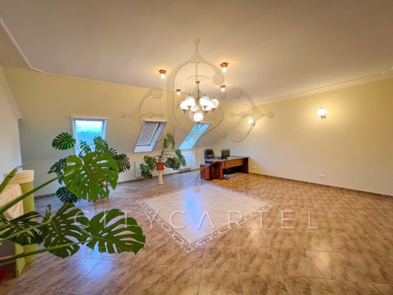 vizjeles 4915106 768x576