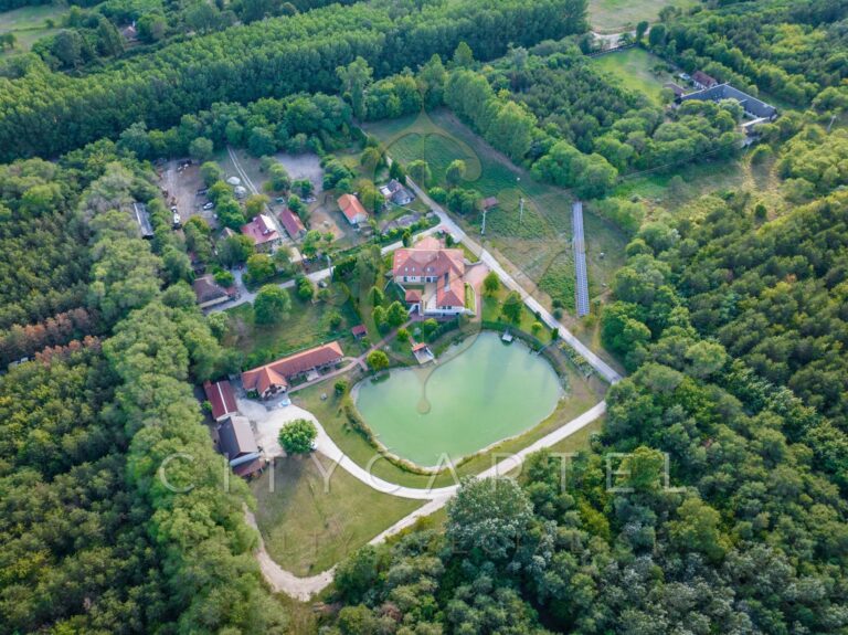 vizjeles 4915107 768x575