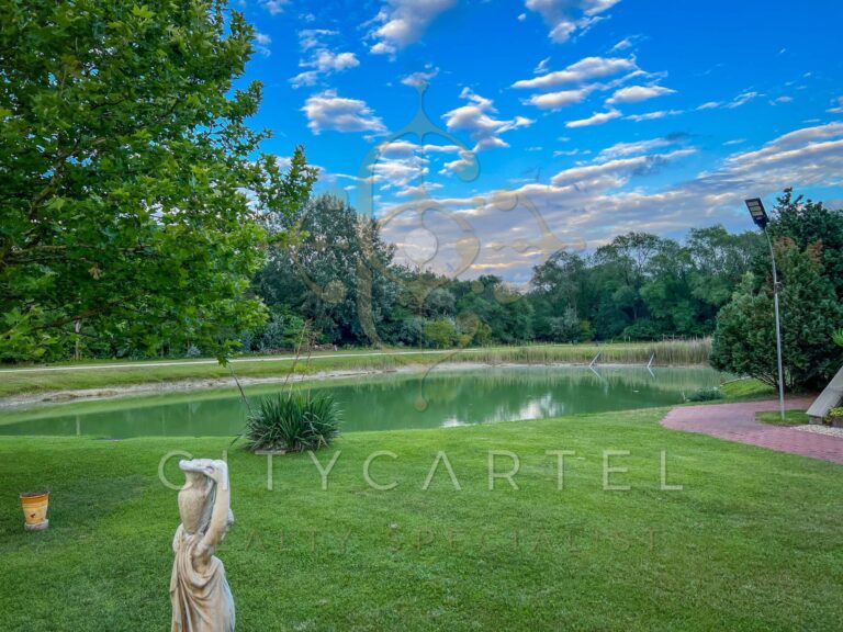 vizjeles 4915111 768x576