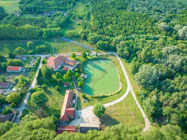 vizjeles 4915114 768x575